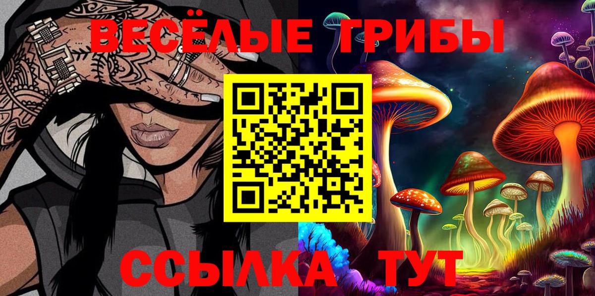 Галлюциногенные грибы мицелий Новочебоксарск