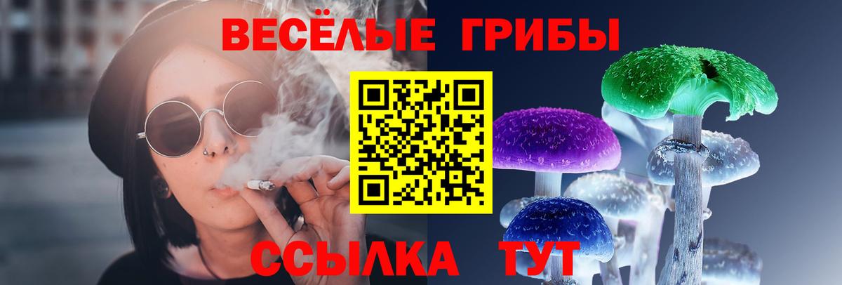 где купить   Галлюциногенные грибы ЛСД  Галлюциногенные грибы прущие грибы  Вход с VPN  Новочебоксарск 